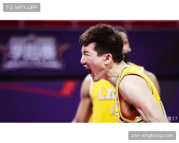 浙江广厦孙铭徽布朗归期未定 核心缺阵影响战术执行